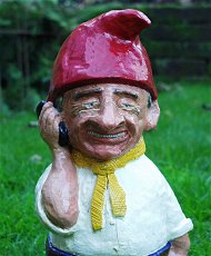 Custom Gnome